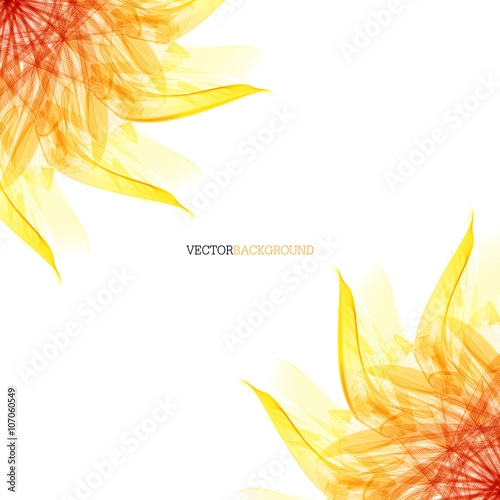 Floral abstract vector background. orange and red sunflower