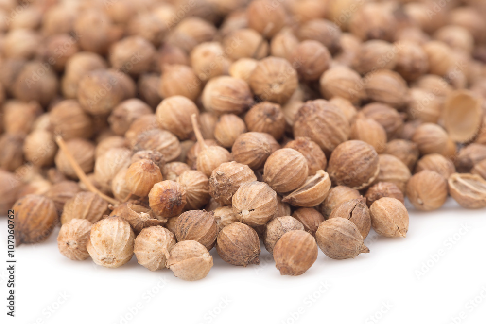 Coriander seeds on white background