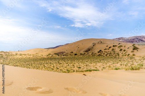 bushes in the sand desert wih mountains at background © 279photo