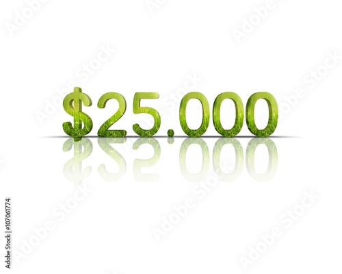 $ 25.000 3d word 