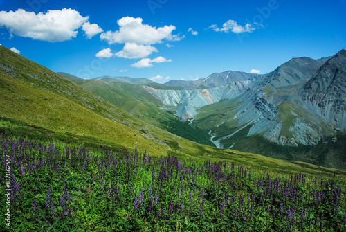 Altai, Russia, mountains and river, panorama, wild landscape, Be