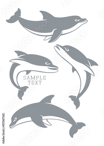 dolphins set