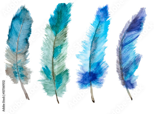 Watercolor vector feathers 