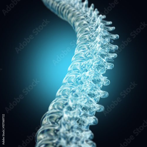 Human spine made from glass. Anatomy 3D illustration.