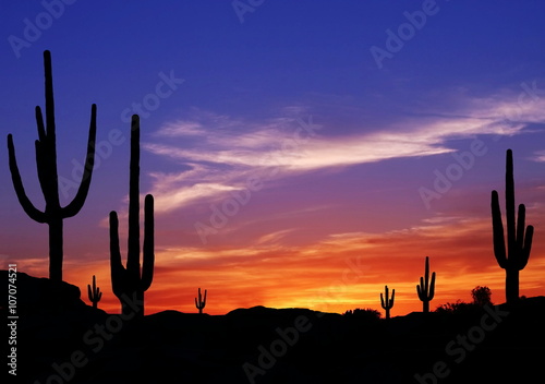 Colorful Sunset in Wild West Desert of Arizona with Cactus