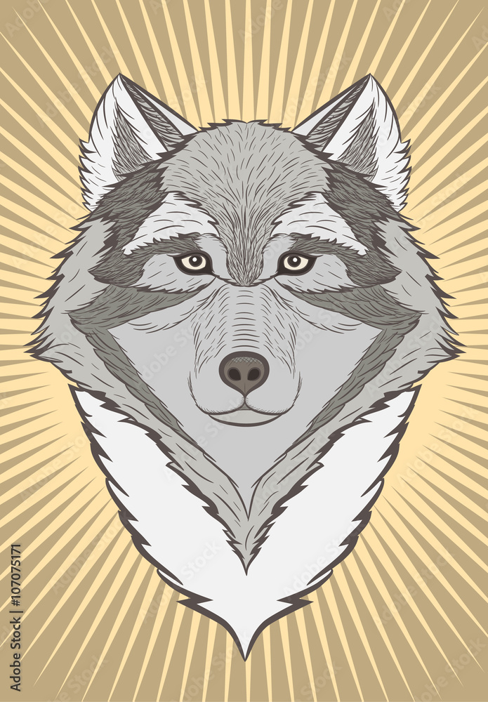 Naklejka premium Wolf head illustration