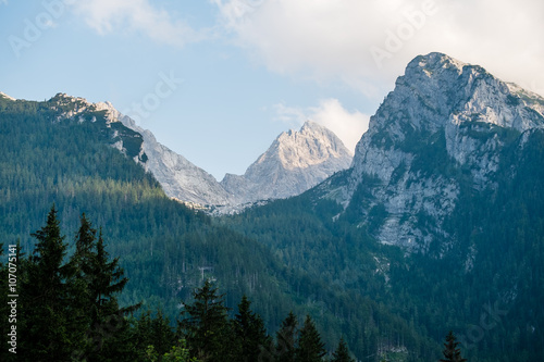 Berggruppe mit Wald, Alpen