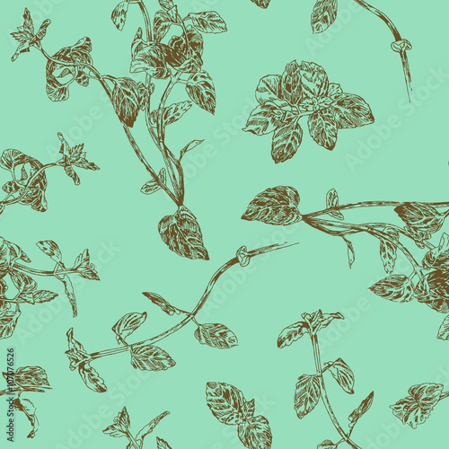 Seamless floral pattern with peppermint sprigs 