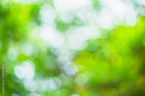 abstract blurred green bokeh leaves background and texture