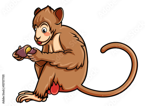 monkey eat