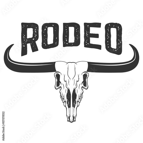 Rodeo. Buffalo skull isolated on white background.