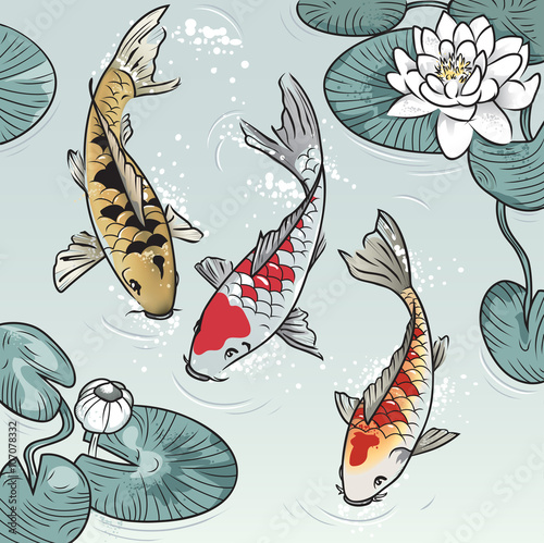 Koi-fish among water-lilys