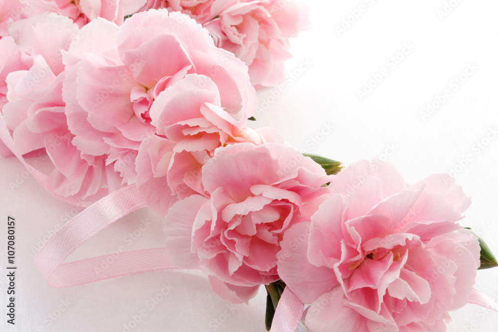 Mother's day card. Bouquet of pink carnations.