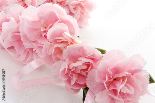 Mother s day card. Bouquet of pink carnations.