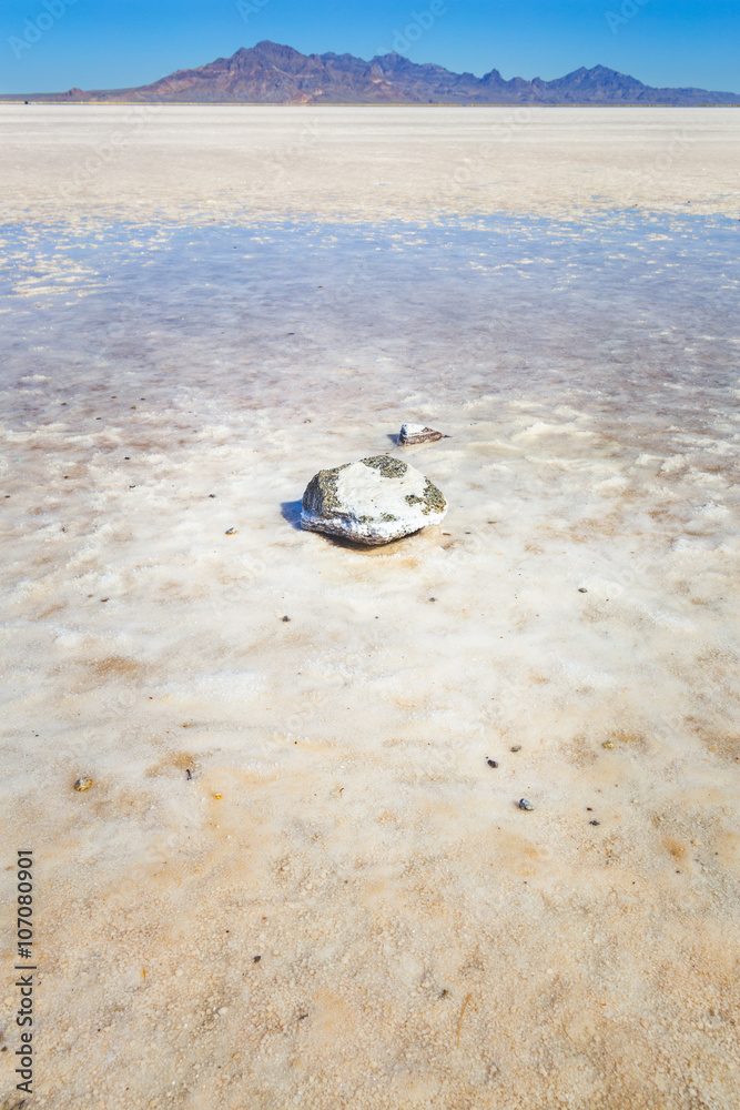 Obraz premium Bonneville Salt Flats