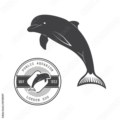 Vector illustration of a dolphin in the old-fashioned style and line-art style. For label or banner.