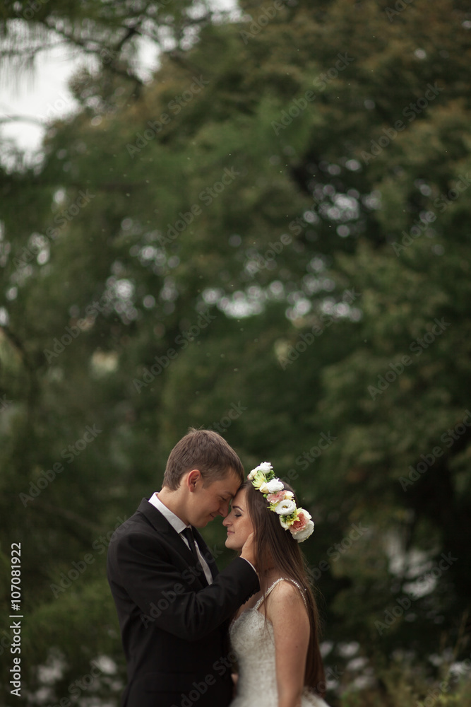 Elegant beautiful wedding couple posing near lake in park Elegant beautiful wedding couple posing near lake in park