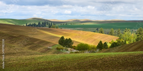 The rolling hills farmland. Palouse Hills in Washington, United State of America. © thecolorpixels