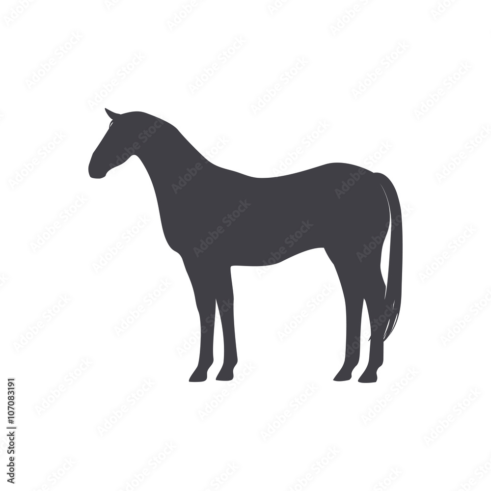 Black Horse isolated on a white background.
