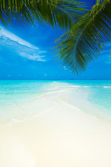 Crédence de cuisine Plage tropicale Plage immaculée des Maldives eau turquoise  © Pakhnyushchyy