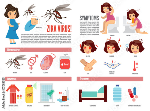 Zika virus and dengue virus infographic. Vector flat design. Prevention, symptoms and treatment vector illustration. Pregnant woman attacked by mosquitoes. Epidemic of zika virus
