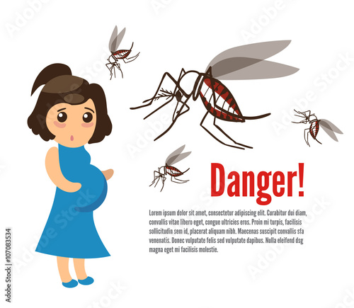 Pregnant woman attacked by mosquitoes. The Zika Fever Virus is linked to microcephaly birth defect cases from pregnant women bitten by Aedes aegypti mosquitoes.