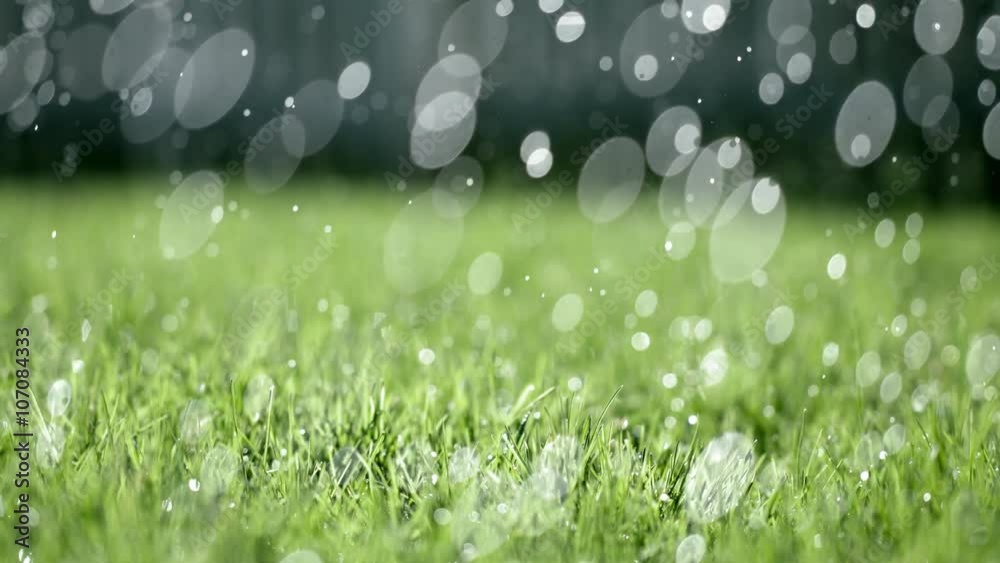 Big drops of rain falling on grass with soft focus back yard details in background.  Shallow depth of field, recorded in slow motion 4K at 60fps with fast shutter.