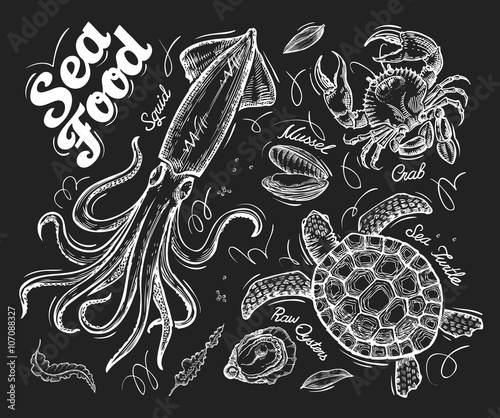Seafood. Hand drawn vector sketch of a turtle, crab, mussel, oyster, squid