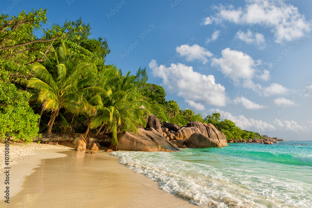 anse lazio beach praslin island seychelles - obrazy, fototapety, plakaty 