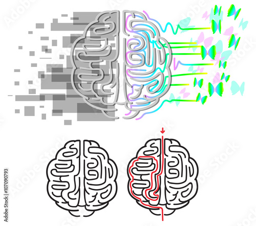 Labyrinth in brain hemispheres, right is creativity and emotions, left is logic and organization. 