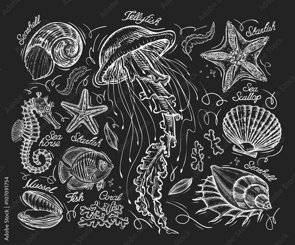 Fototapeta premium Hand drawn sketch jellyfish, starfish, scallop, conch, coral, mussel, fish, sea horse. Vector illustration