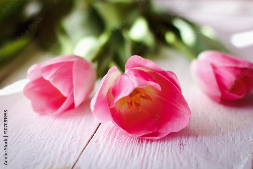 Beautiful rosove tulips lie on a black background of old boards Beautiful rosove tulips lie on a black background of old boards