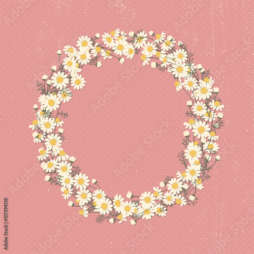 Fototapeta Naklejka Na Ścianę i Meble -  Vector floral frame. Chamomile flowers wreath. Summer card with daisies arranged in a shape of the wreath. Card for summer or wedding designs.