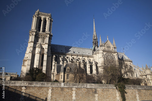 The Cathedral of Notre Dame