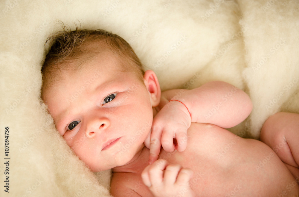 newborn baby sleeping newborn baby sleeping