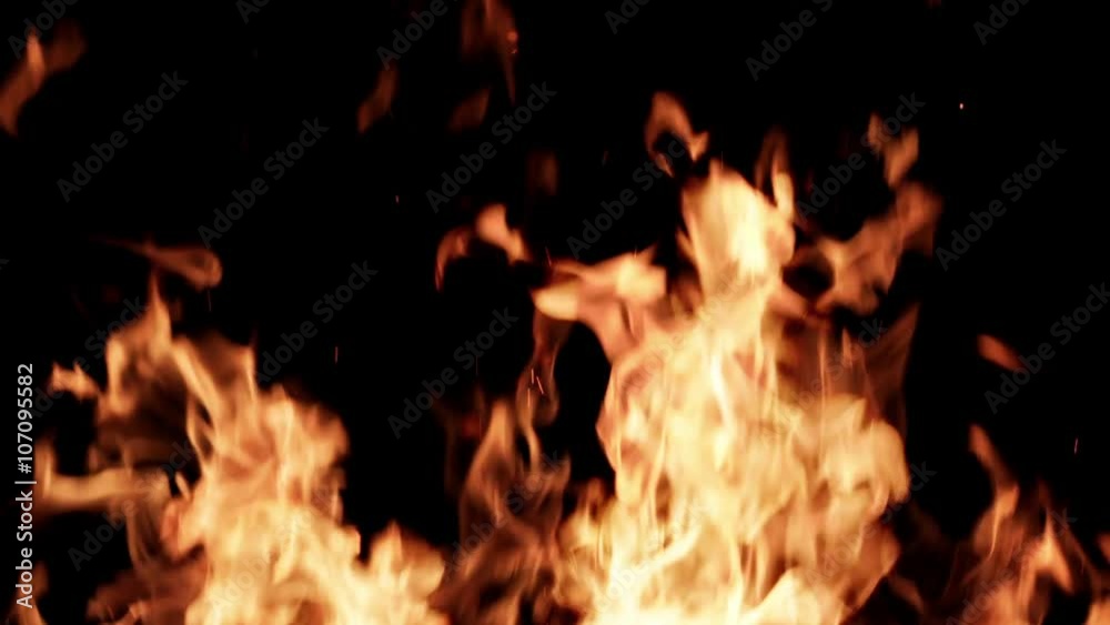 Multiple flames fill the screen in a conflagration. Multiple slow-motion fire clips filmed against black and composited together. Non-looping 14 seconds recorded in 1080/24P at 180fps. Multiple flames fill the screen in a conflagration. Multiple slow-motion fire clips filmed against black and composited together. Non-looping 14 seconds recorded in 1080/24P at 180fps.