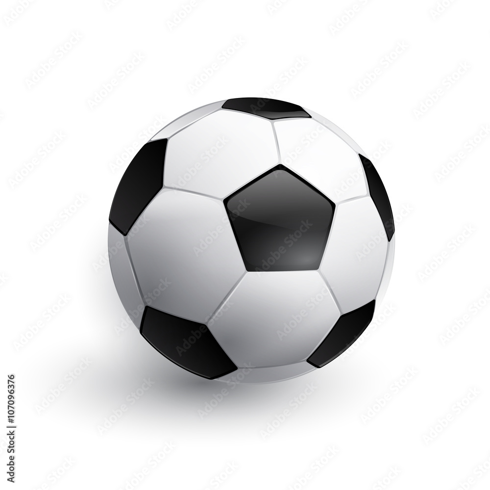 Fototapeta premium Vector Soccer ball