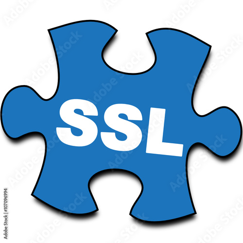 ssl icon
