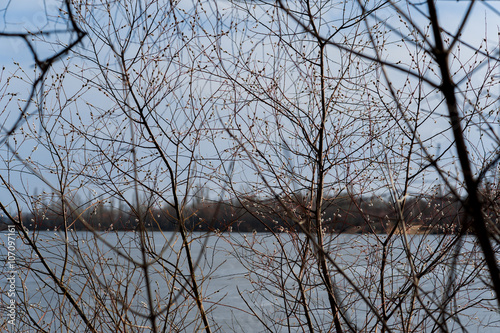 Nature background with spring landscape and melting ice at the lake.