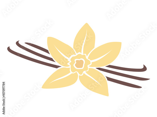 Vanilla flower isolated on white background.
