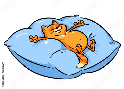 Cat recreation dream big pillow cartoon illustration isolated image animal character 