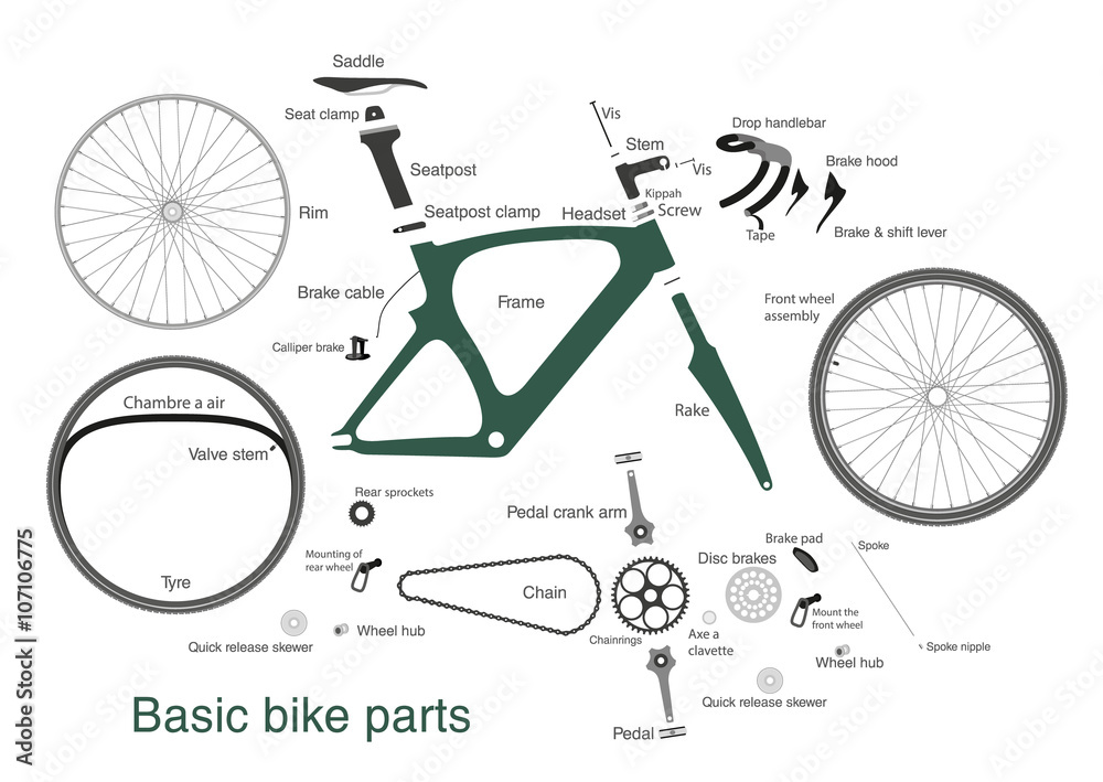 infographic of main bike parts with the names Stock-Vektorgrafik | Adobe  Stock