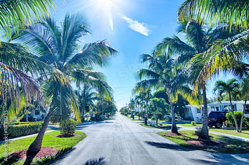 way to the beach with palm trees in key west florida photo