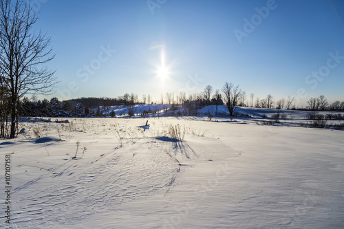 Wallpaper Mural Rural Winter Landscape View Torontodigital.ca