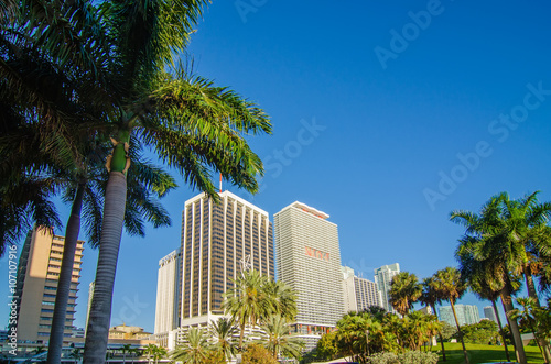 miami florida city skyline and streets © digidreamgrafix