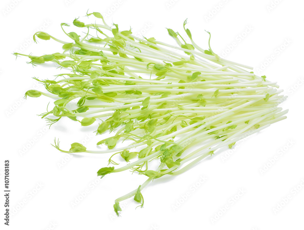 Obraz premium Pea Sprouts on White Background