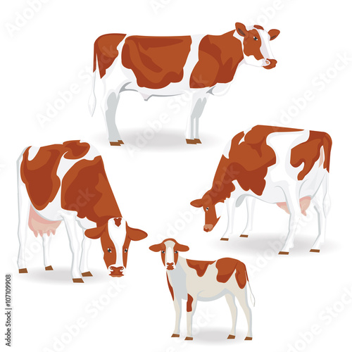 illustration. Brown cow on white background.