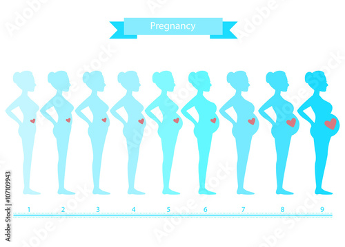 Collage of woman in pregnancy stages isolated on white ,vector illustrations