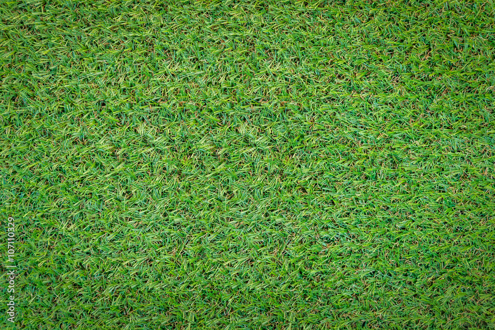 Fototapeta premium green grass texture.jpg