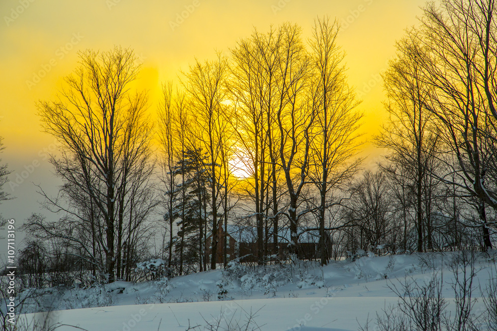 Rural Winter Landscape View Rural Winter Landscape View
